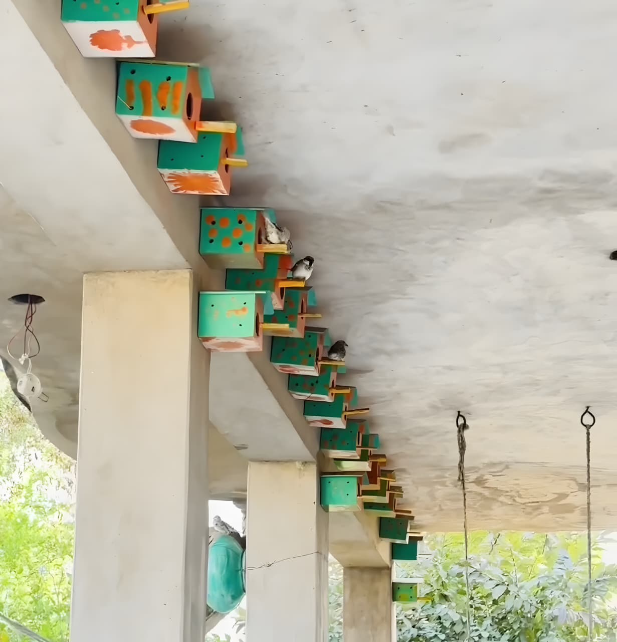 Feeding Station - Sukhchainpura